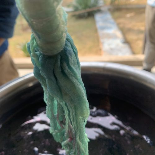 Aus der Färbelösung heraus geholt oxidiert Indigo von hellgrün zum typischen Blau.